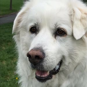 Meet your Posher, Val